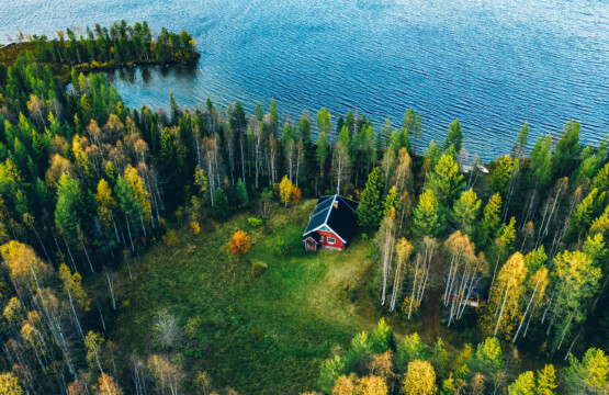 Chalet à louer vu des airs, dans une forêt à proximité d'un lac