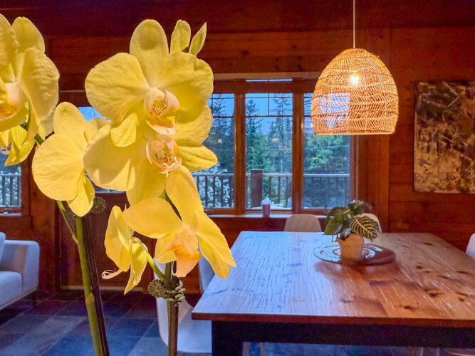 Hibiscus et table à manger du Chalet en location Saïra à Lanaudière, chalet avec spa et sauna à Notre-Dame-de-la-Merci.